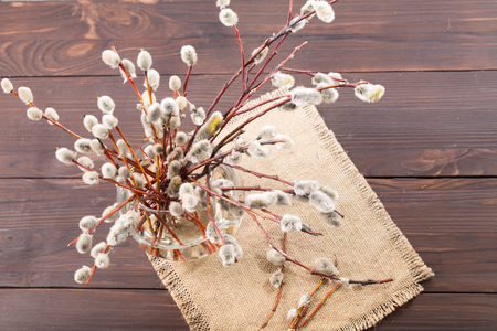Spring bouquet for palm sunday. Willow branches with fluffy kidneys in a transparent glass vase. The...