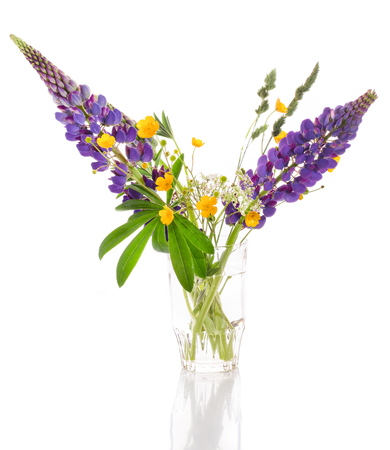 Bouquet of wild flowers on a white background. A violet lupine and green leaves in a glass  vase jugの写真素材