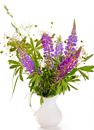 Bouquet of wild flowers on a white background. A violet lupine and green leaves in a white ceramic vase jugの写真素材