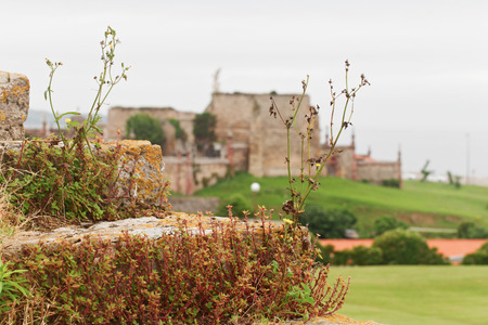 Fragment of an ancient stone ladder overgrown with a grass. A ladder on the street, a close up. Against the background of the rural house and a lawnの写真素材