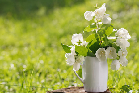 Mock orange bouquet against the background of a green grass. White flowers in a white cup, a close up, selective focusの写真素材