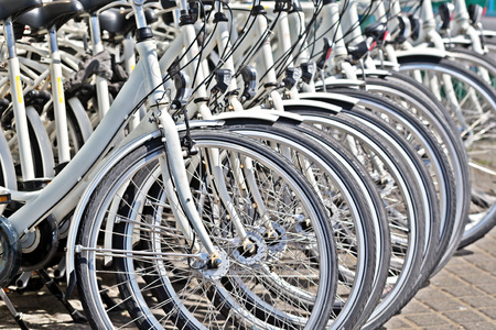 Identical white bicycles on the parking. A fragment of group of the bicycles built in a row....