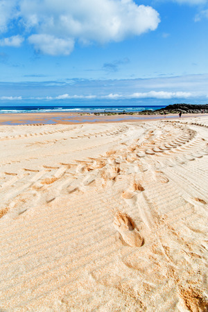 Traces from the car on the sandy beach. Traces from protectors in the foreground, wet sand. In the distance the sea, the blue sky with clouds. Vertical shotの写真素材
