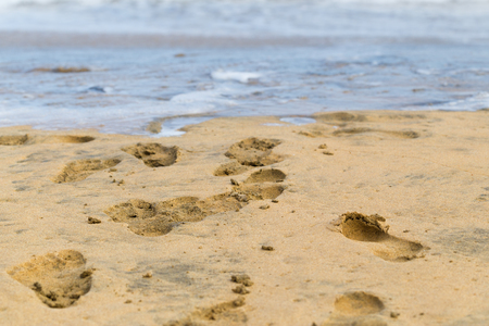 Footprints on the wet sand on the oceanの写真素材