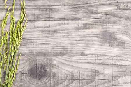 A few blades of grass on an old gray wooden boardの写真素材