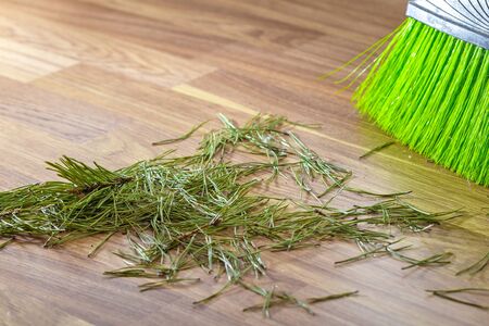 Crumbled needles from the Christmas tree on the floor.