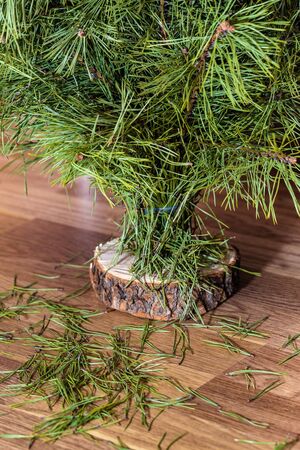 Christmas tree stands on the floor among the garbage of needles.の写真素材
