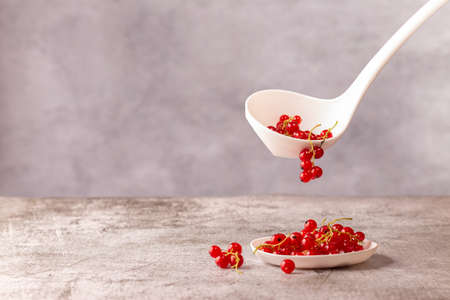 Ripe red currant berries are put with a spoon on a saucer. Concept on the topic of harvesting and processing the crop. Close-up, gray background, selective focusの写真素材