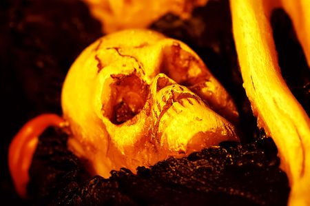 Photo of a Skull