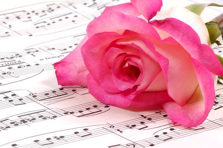 Sheet Music and a Pink Roseの写真素材