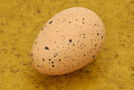 Photo of a Decorative Egg