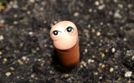 Worm Lawn Ornamentの写真素材