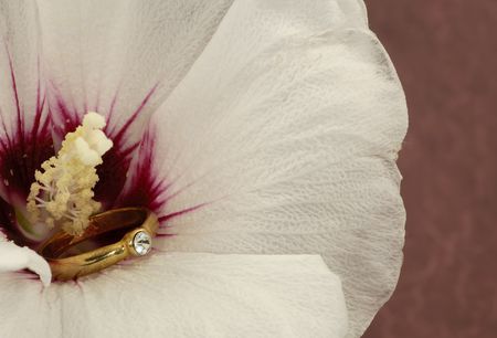 Diamond Ring on a Flower