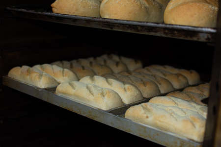 Bread loafs in the oven. Freshly baked bread.の写真素材
