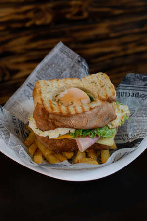 Sandwich with egg, lettuce, tomato, cheese and french friesの写真素材