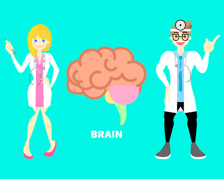 male and female doctor with brain, internal organs anatomy body part nervous system,  background, vector illustration cartoon flat character design clip artのイラスト素材