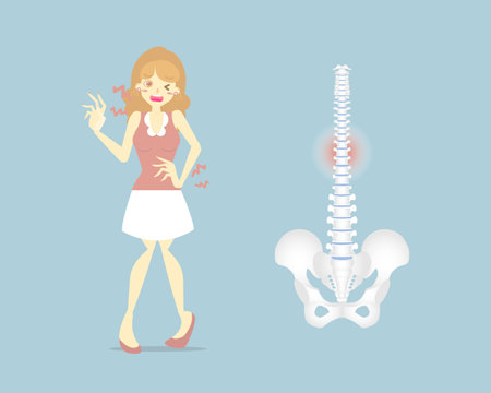 woman having back pain, backache, neck, upper, lower, waist pain,  anatomy of human spine, health care symptoms office syndrome, internal organs body part, flat vector illustration character designのイラスト素材
