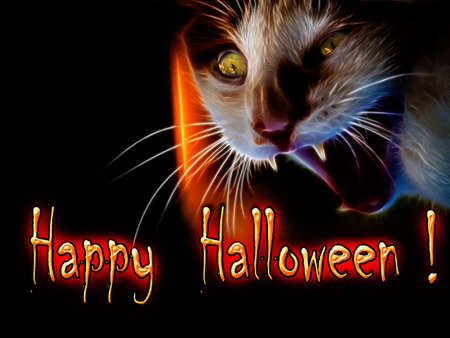 Angry and scary cat in the darkness of Halloweenの写真素材