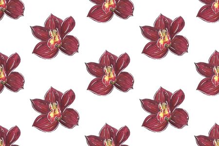 Red Orchid. Flowers seamless pattern isolated on white backgroundの写真素材