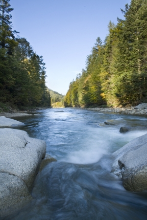 River in the forestの写真素材