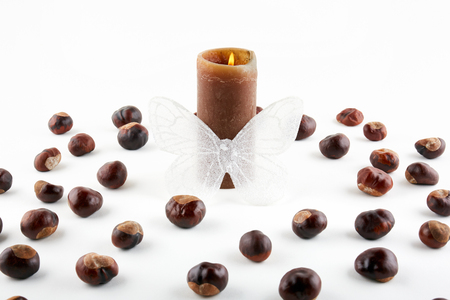 Chestnuts, candle and butterfly on white background.の写真素材
