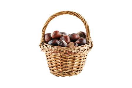 Many chestnuts in crib isolated on white background.の写真素材