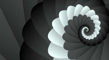 Beautiful unusual abstract background or web banner with a shell spiral pattern in gradient gray, black, white colors on the background.の写真素材