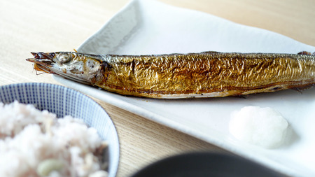 Grilled mackerel Pikeの写真素材