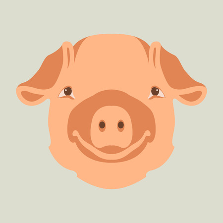 pig head face illustration style Flatのイラスト素材