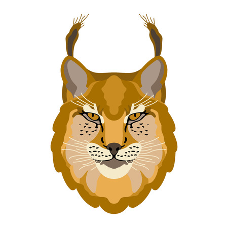 Lynx head face illustration style Flatのイラスト素材