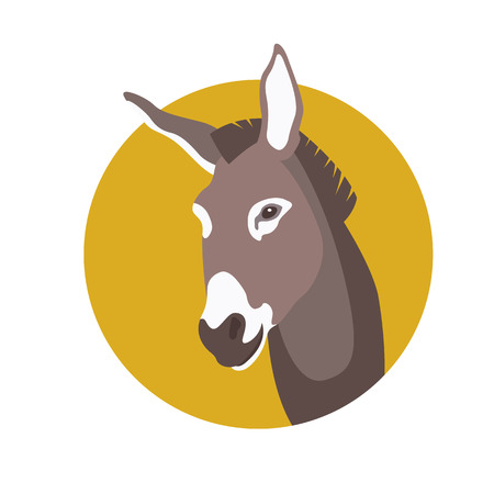 donkey head face illustration style Flatのイラスト素材