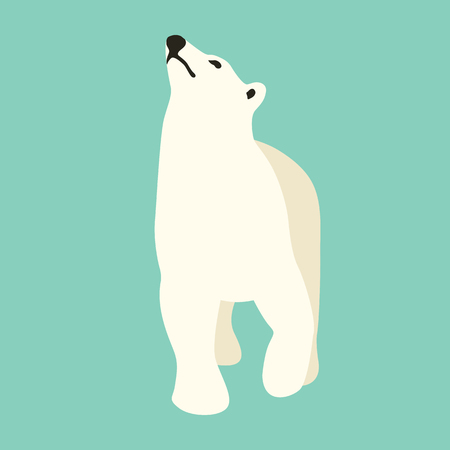 polar bear illustration style Flatのイラスト素材