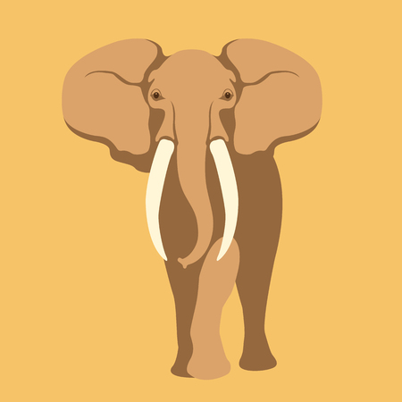 adult elephant illustration style Flatのイラスト素材