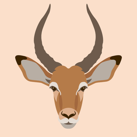 impala buck head face illustration style Flatのイラスト素材