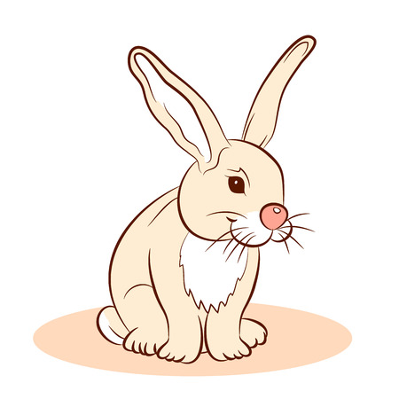 rabbit vector illustration cartoonのイラスト素材