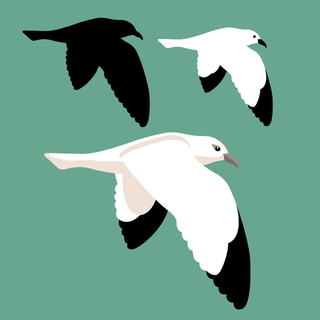 Seagull vector illustration style Flat set black silhouette.のイラスト素材