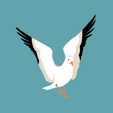 seagull bird vector illustration style Flatのイラスト素材