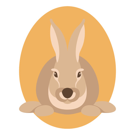 rabbit head vector illustration style Flat frontのイラスト素材
