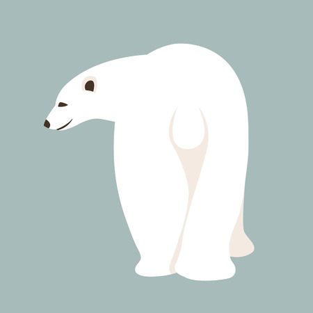 Bear polar vector illustration style Flatのイラスト素材