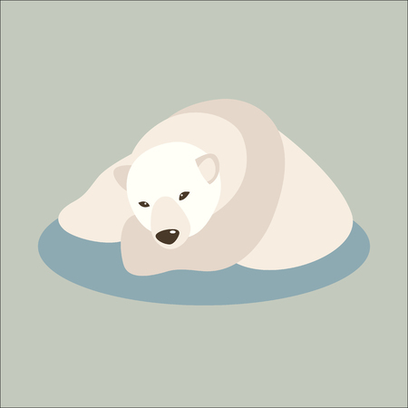 bear polar vector illustration style Flat side frontのイラスト素材