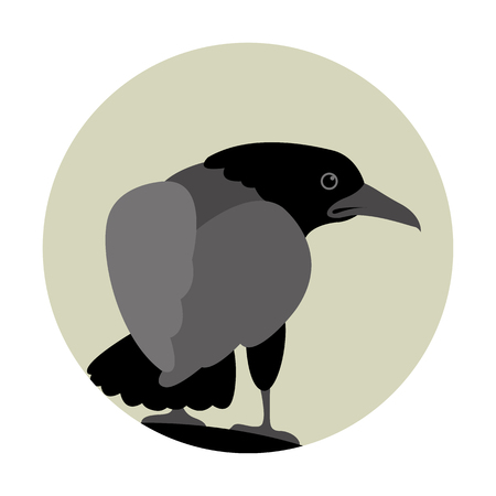 Raven vector illustration style Flatのイラスト素材