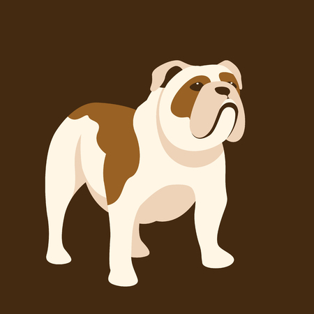 A Bulldog vector illustration style Flat sideのイラスト素材