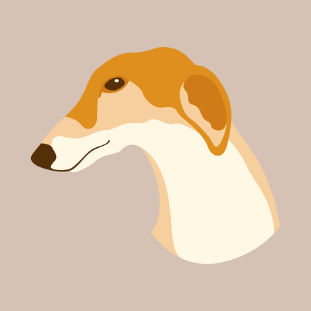 Greyhounds dog head vector illustration style Flatのイラスト素材