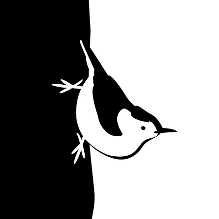 Bird nuthatch vector illustration style Flat sideのイラスト素材
