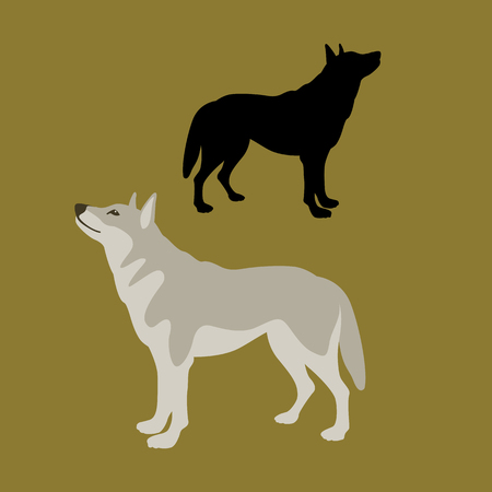 Wolf vector illustration style flat black silhouette profile.のイラスト素材