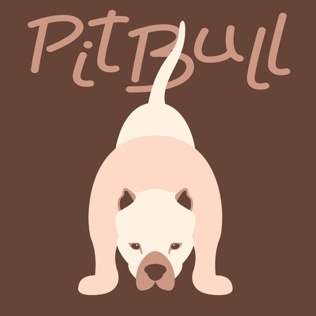 Pitbull terrier vector illustration style flat front sideのイラスト素材