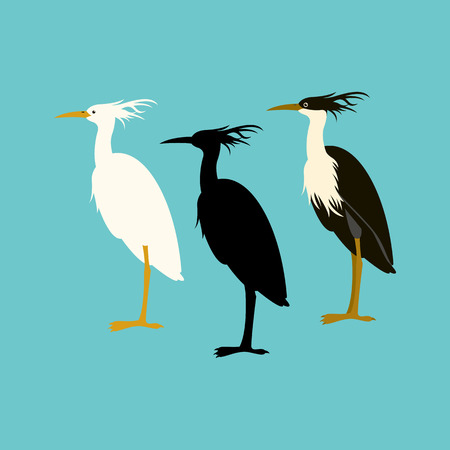 Group of heron illustrationのイラスト素材