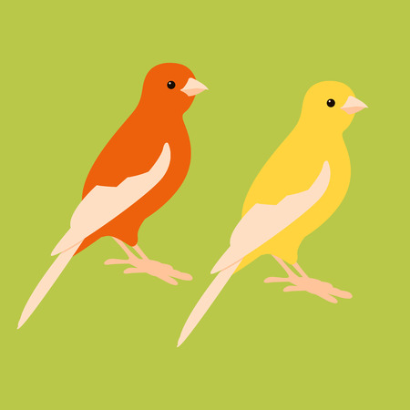 canary bird vector illustration style flat profile sideのイラスト素材