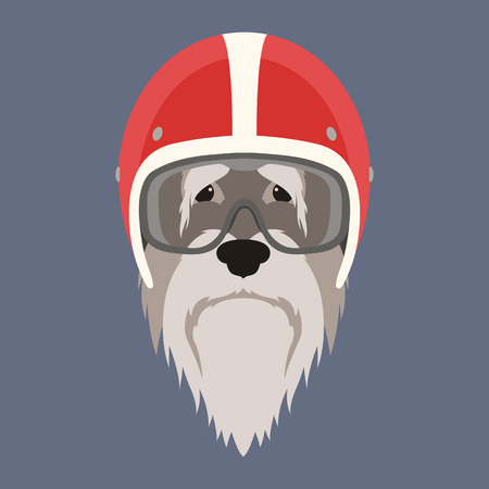 dog face in motorcycle helmet vector illustration flat styleのイラスト素材