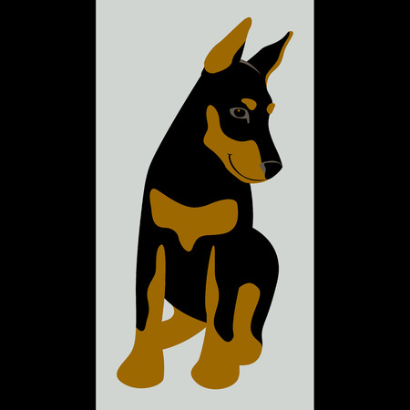 Doberman dog vector illustration flat style front viewのイラスト素材